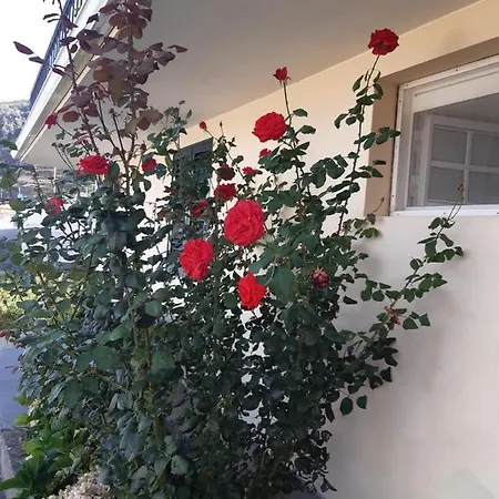 Апартаменты Piquinho