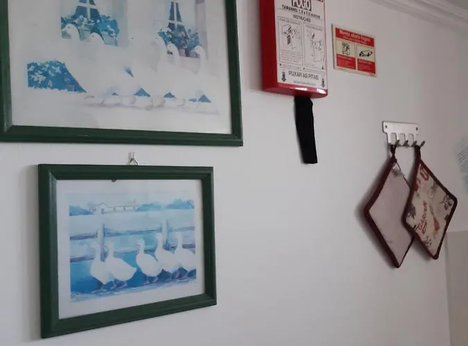 Piquinho * 马希库