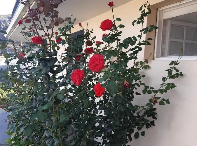 Appartement Piquinho